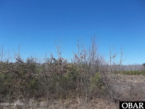 TBD Boat Ramp Road, Hertford, NC 27944