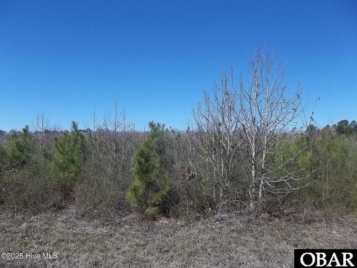TBD Boat Ramp Road Lot #5, Hertford, NC 27944 - Image #1