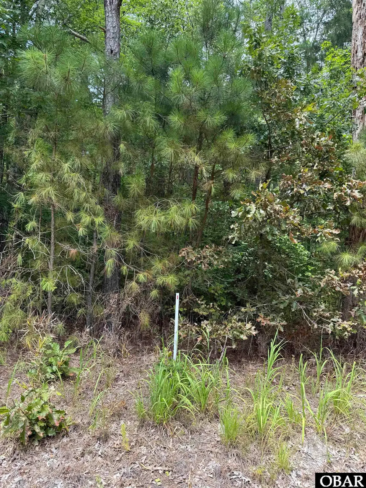 TBD Boat Ramp Road Lot #1, Hertford, NC 27944 - #1