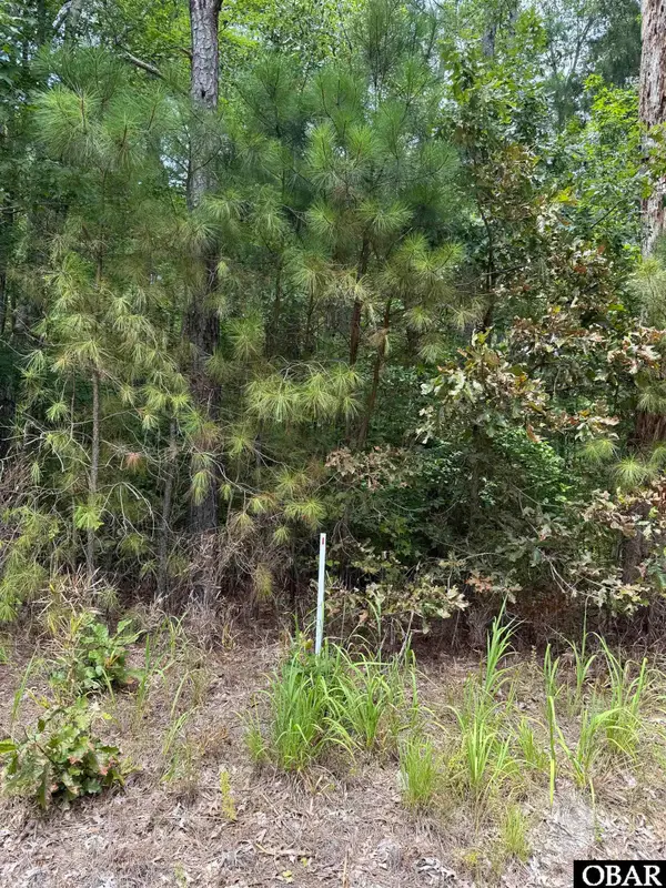 TBD Boat Ramp Road Lot #1, Hertford, NC 27944