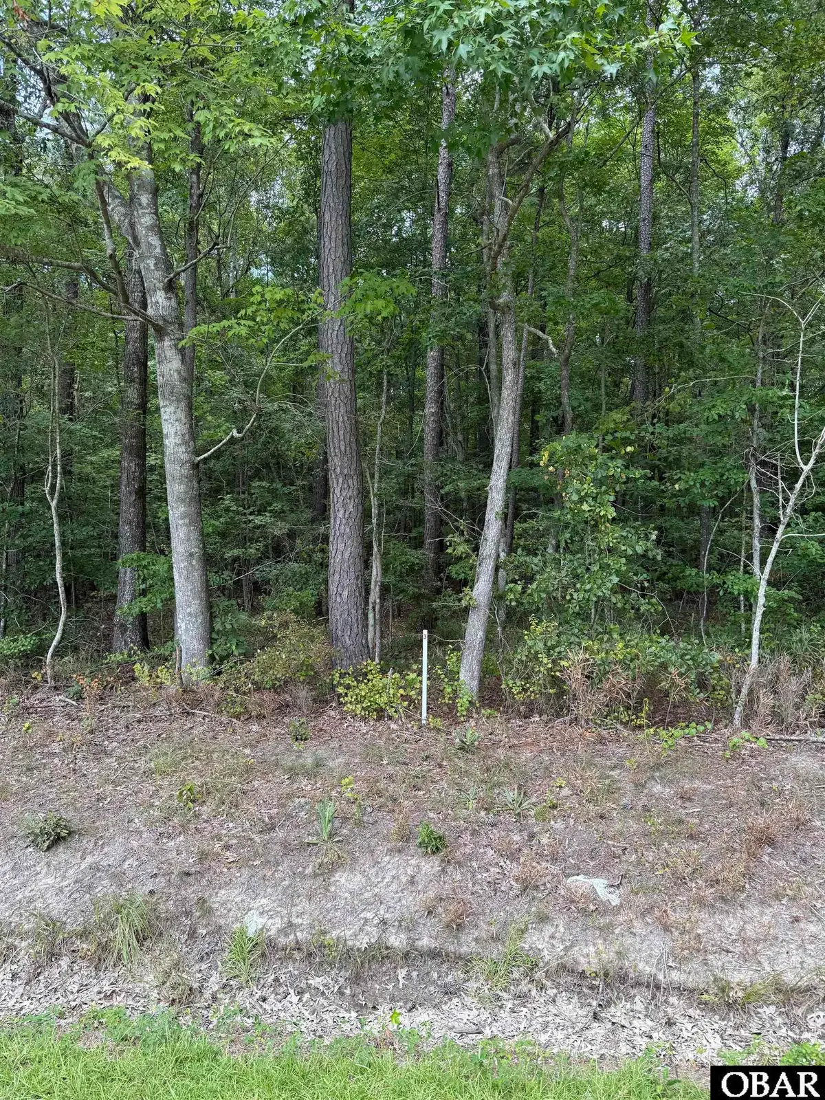 TBD Boat Ramp Road, Hertford, NC 27944 - #1