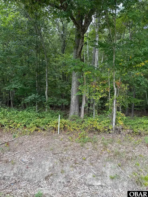 TBD Boat Ramp Road Lot 4, New Hope, NC 27944
