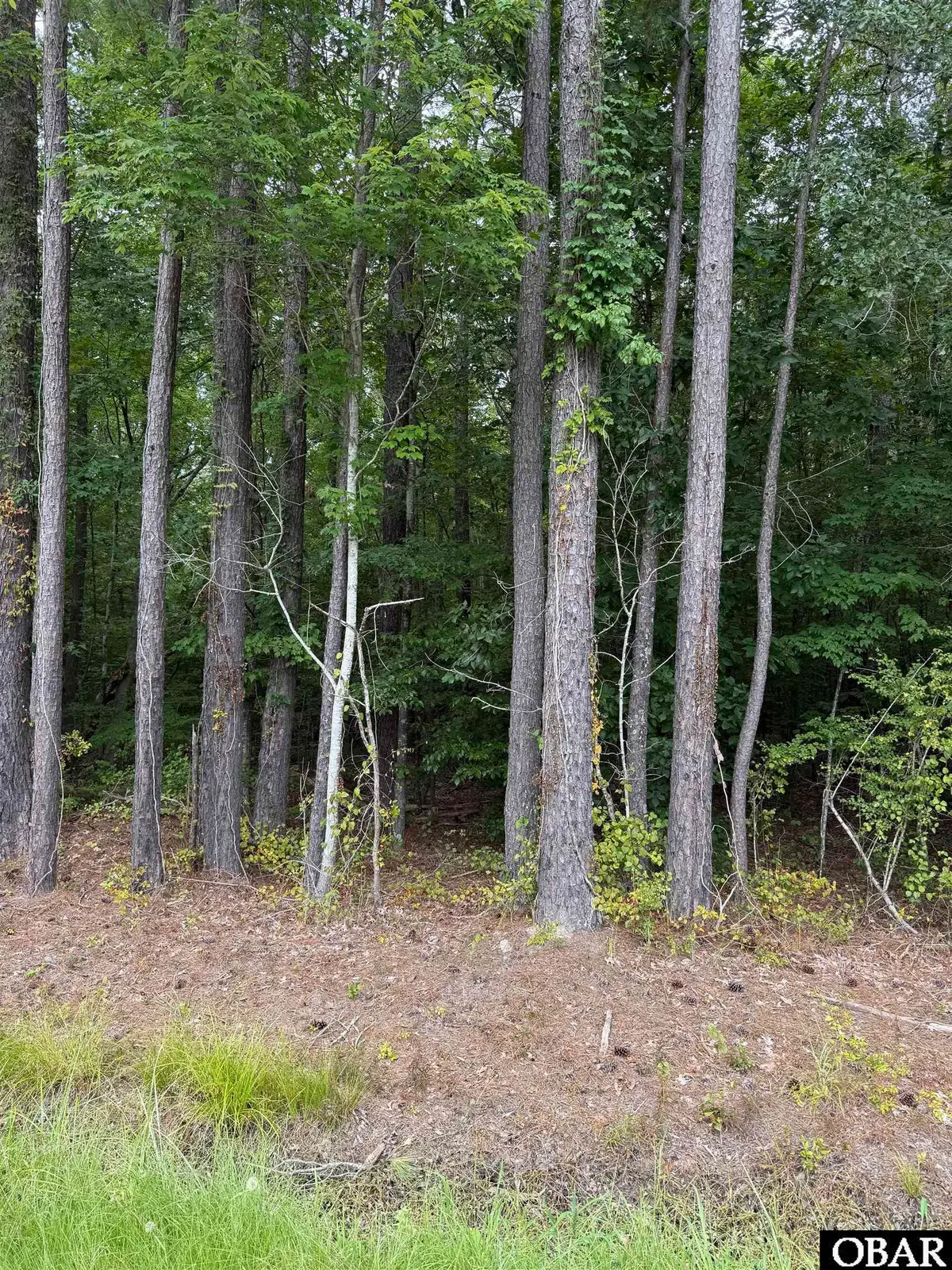 TBD Boat Ramp Road, Hertford, NC 27944 - #1