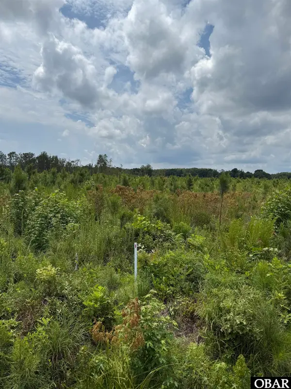 TBD Cove Road Lot #1, New Hope, NC 27944