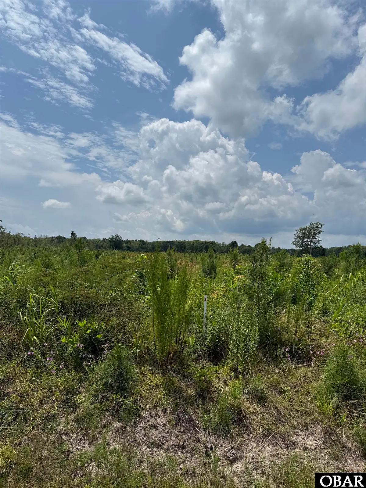 TBD Cove Road Lot #3, New Hope, NC 27944 - Image #1
