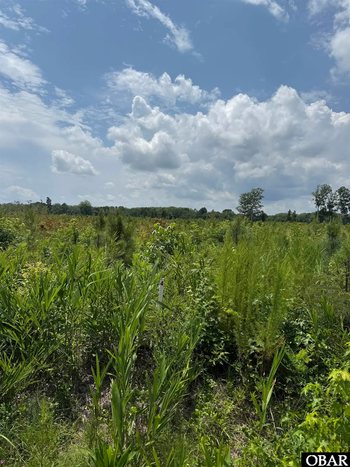 TBD Cove Road Lot #4, New Hope, NC 27944 - Image #1