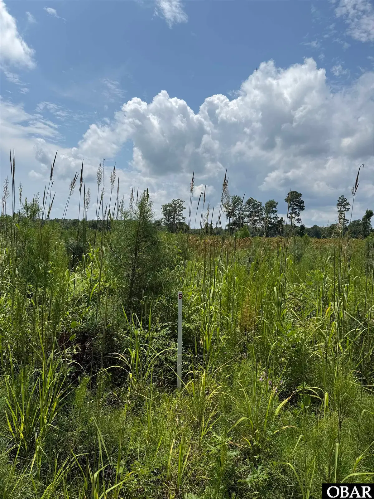 TBD Cove Road Lot #6, New Hope, NC 27944 - Image #1