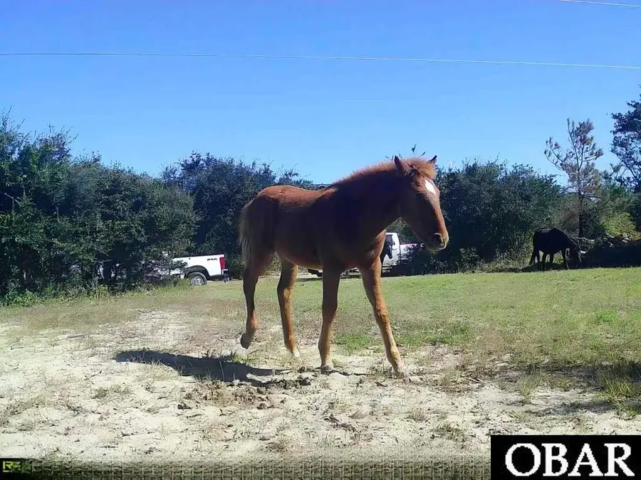 2126 Sandpiper Road Lot 209, Corolla, NC 27927 - Image #3