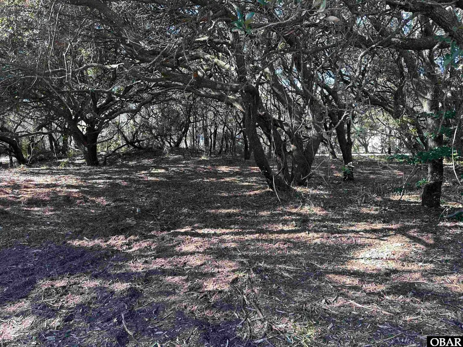 970 N Harbor View Lot 153, Corolla, NC 27927 - #3