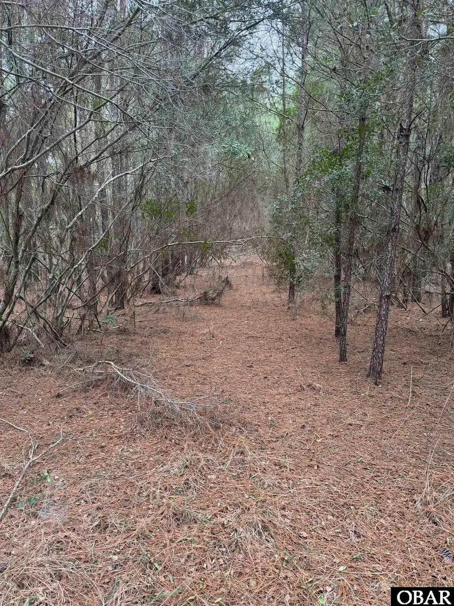 12 Sessoms Drive lot 12, Scranton, NC 27875 - #2