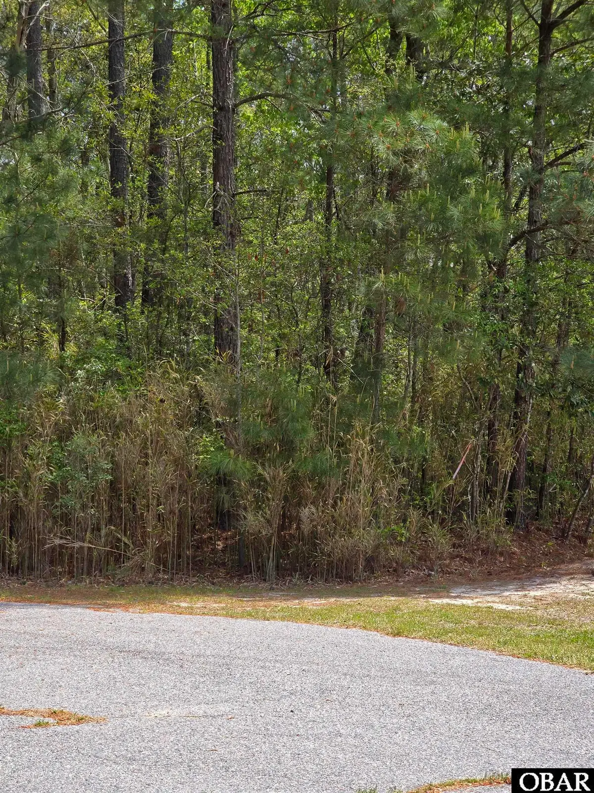 110 Kernel Court lot 55, Grandy, NC 27939 - #1