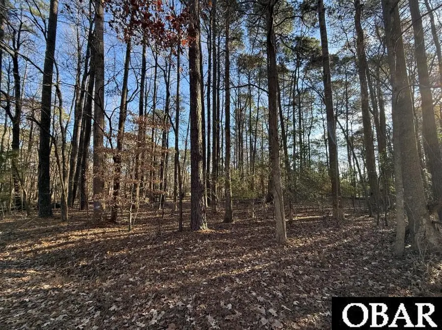 17C Comanche Trail Lot 17C, Hertford, NC 27944 - #3