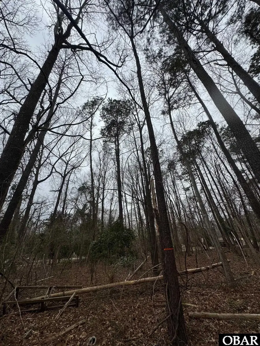 144 Hemlock Street Lot 98, Hertford, NC 27944 - #3