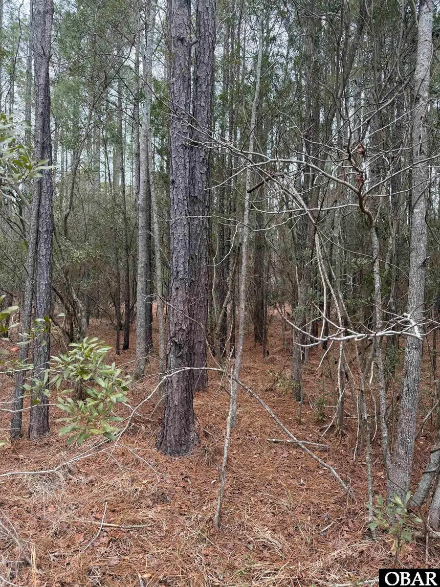 12 Sessoms Drive lot 12, Scranton, NC 27875 - #2