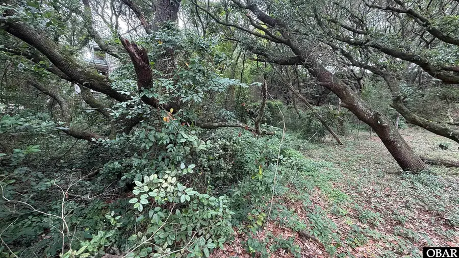 4338 S Hammerhead Drive Lot 4, Nags Head, NC 27959 - #3