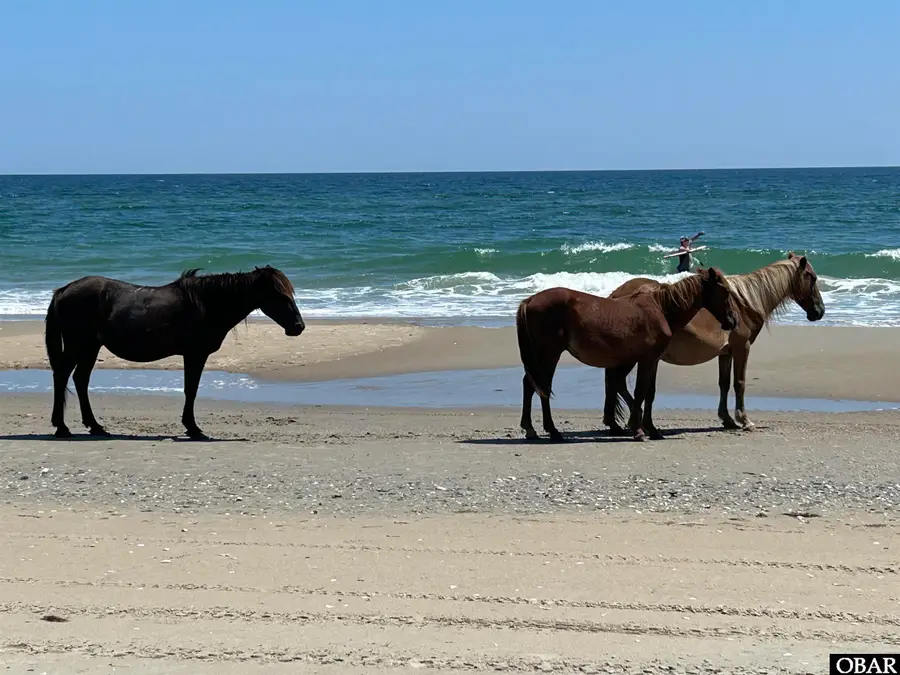 2228 Sandpiper Road lot 11, Corolla, NC 27927 - #3