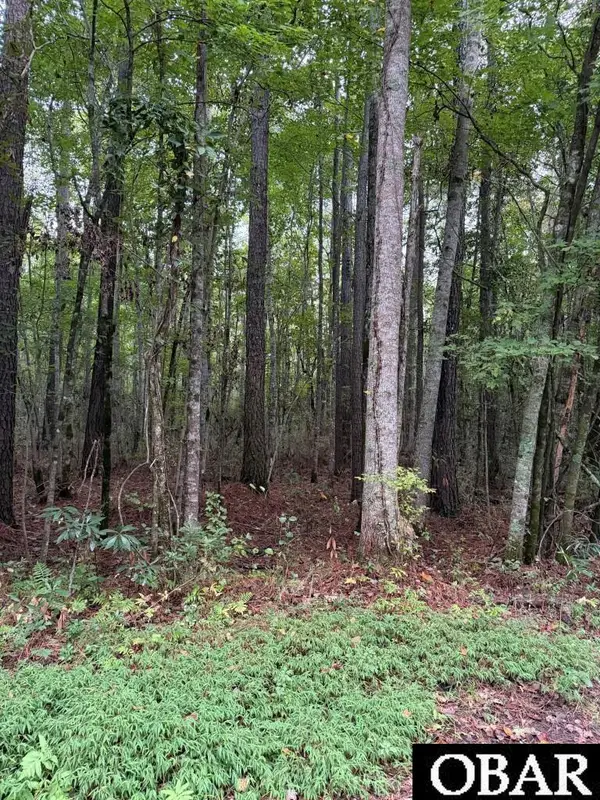 Lots 12 & 13 North River Landing Road, Grandy, NC 27939