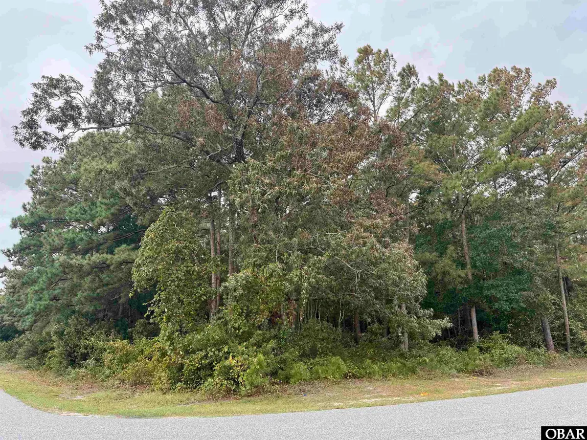 201 Sunnyside Drive, Manteo, NC 27954 - #1