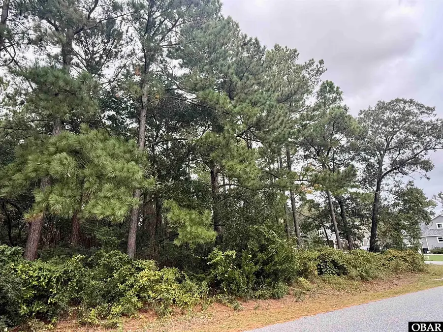 201 Sunnyside Drive, Manteo, NC 27954 - #2
