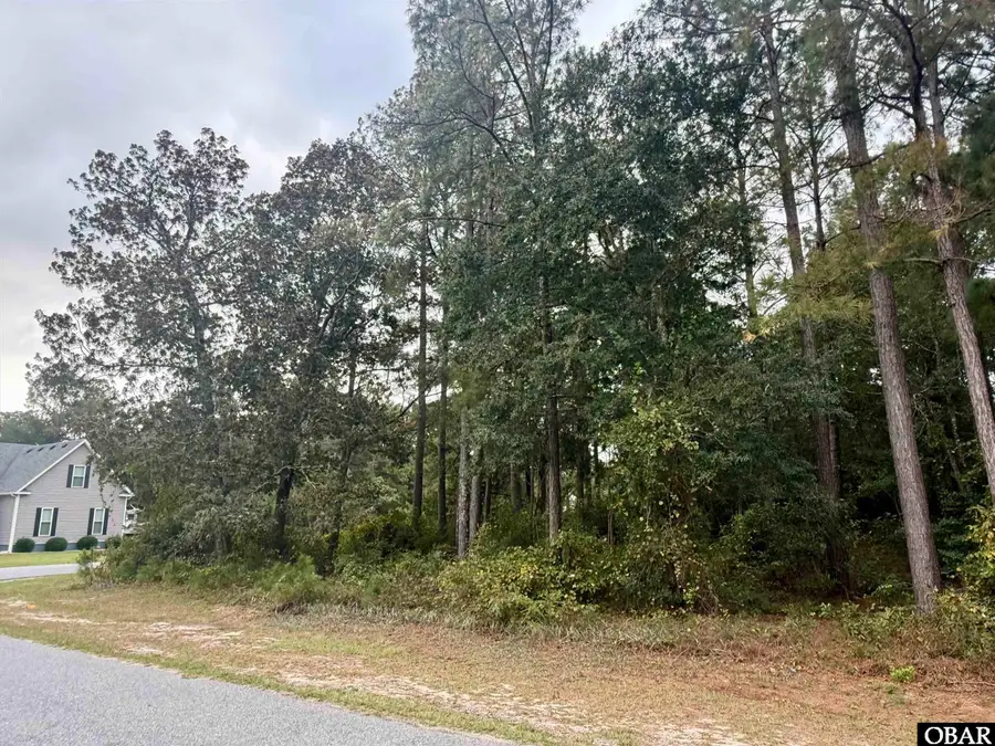 201 Sunnyside Drive, Manteo, NC 27954 - #3