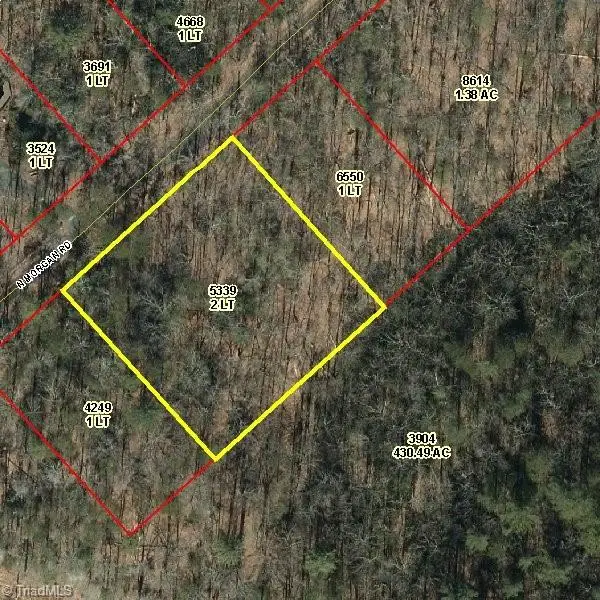 Lots 30 & 31 Morgan Road, Lowgap, NC 27024