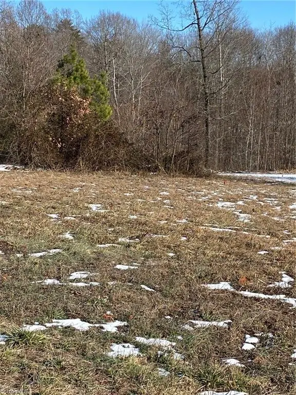 115 Rama Lane, Reidsville, NC 27320 - Image #3