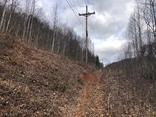 000 Rocky Ford Road, Cana, VA 24317 - Image #2