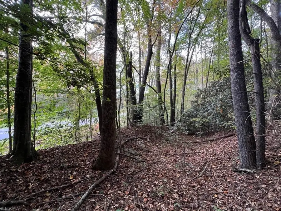 00 Pipers Gap Road #Lot 17 plus 4 acres, Mount Airy, NC 27030 - Image #2