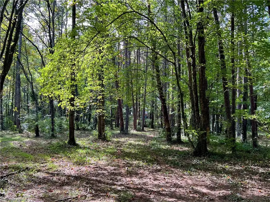 00 Jackson Road #8.64 Ac, Mount Airy, NC 27030 - Image #3