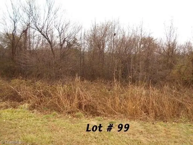 #99 River Chase Drive, Eden, NC 27288 - Image #1