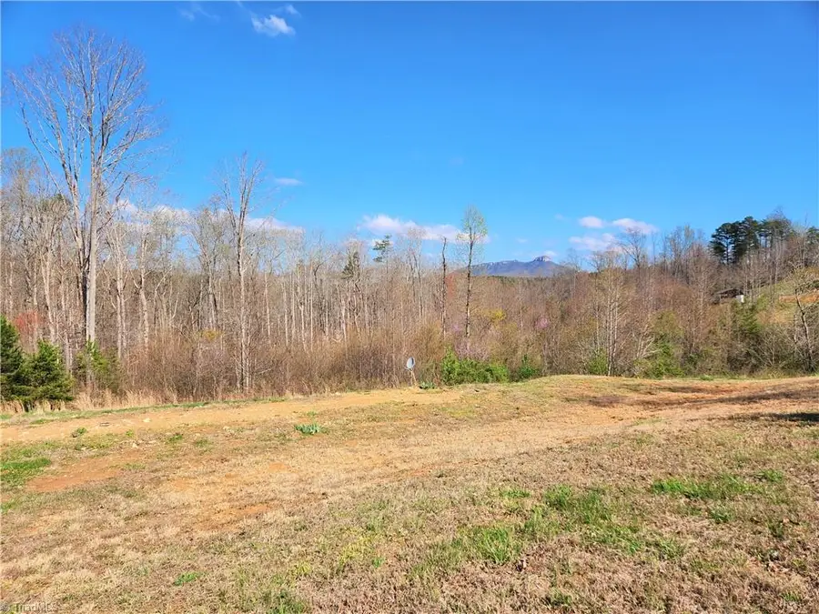 xx 1.686 acres Grassy Creek Road, Pinnacle, NC 27043 - Image #2
