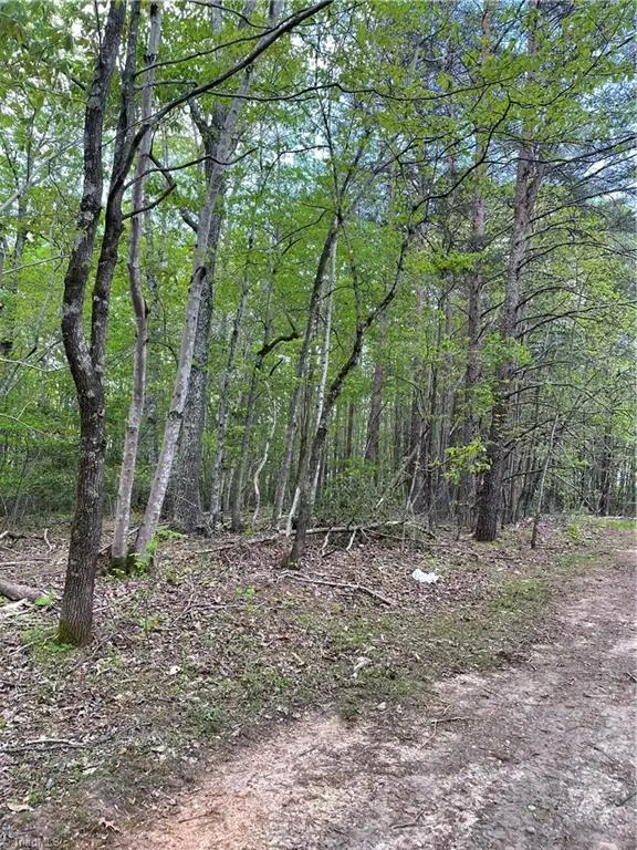 000 Hunter Hollow Lane, Lowgap, NC 27024 - Image #2