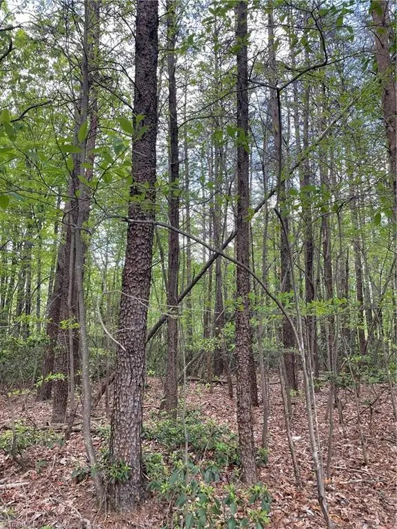 000 Hunter Hollow Lane, Lowgap, NC 27024 - Image #3