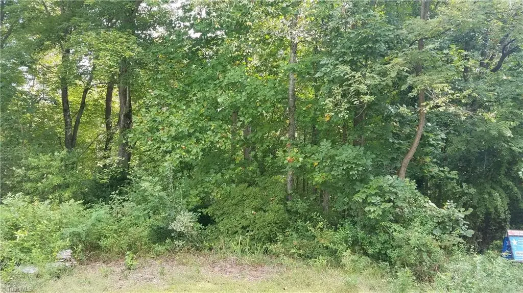 13 Noel Road, Stoneville, NC 27048 - Image #1