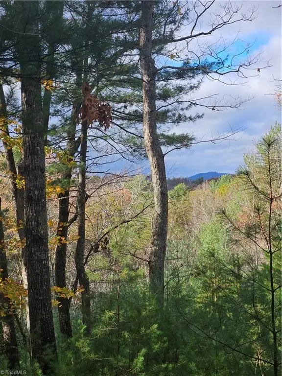 0 Sutter's Ridge Lt 112 Rock Wall Road, McGrady, NC 28649 - Image #3