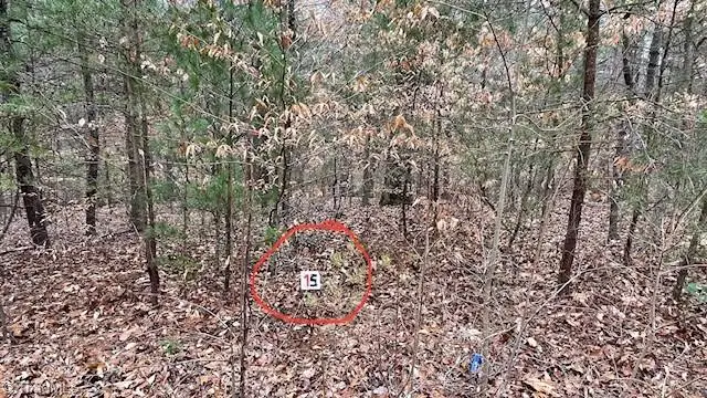 Lot 15 Woods Haven Lane, Stuart, VA 24171 - Image #1