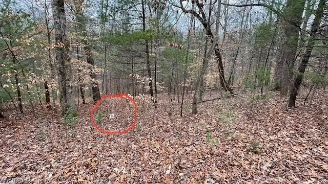 Lot 16 Woods Haven Lane, Stuart, VA 24171 - Image #1