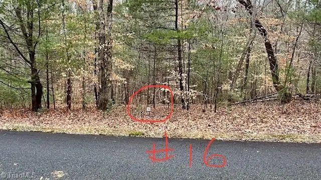 Lot 16 Woods Haven Lane, Stuart, VA 24171 - Image #2