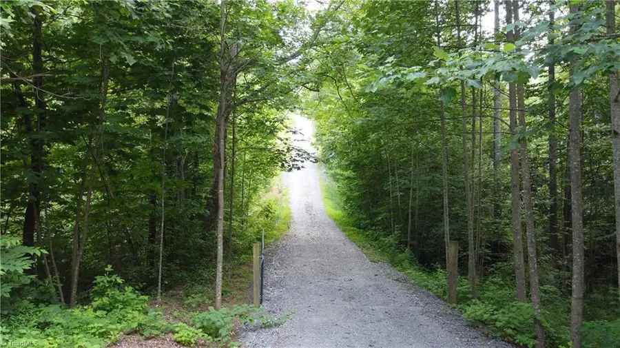 TBD Buckwheat Road, McGrady, NC 28649 - Image #2