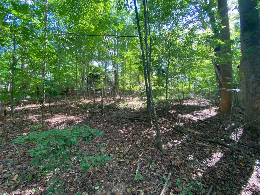 000 Arnold Road, Hamptonville, NC 27020 - Image #1