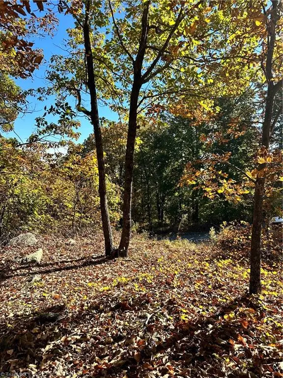 2627 Sierra Trace Road, Denton, NC 27239 - Image #2