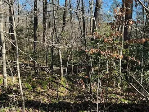 Lot 7 Stevens Drive, Jonesville, NC 28642 - Image #3