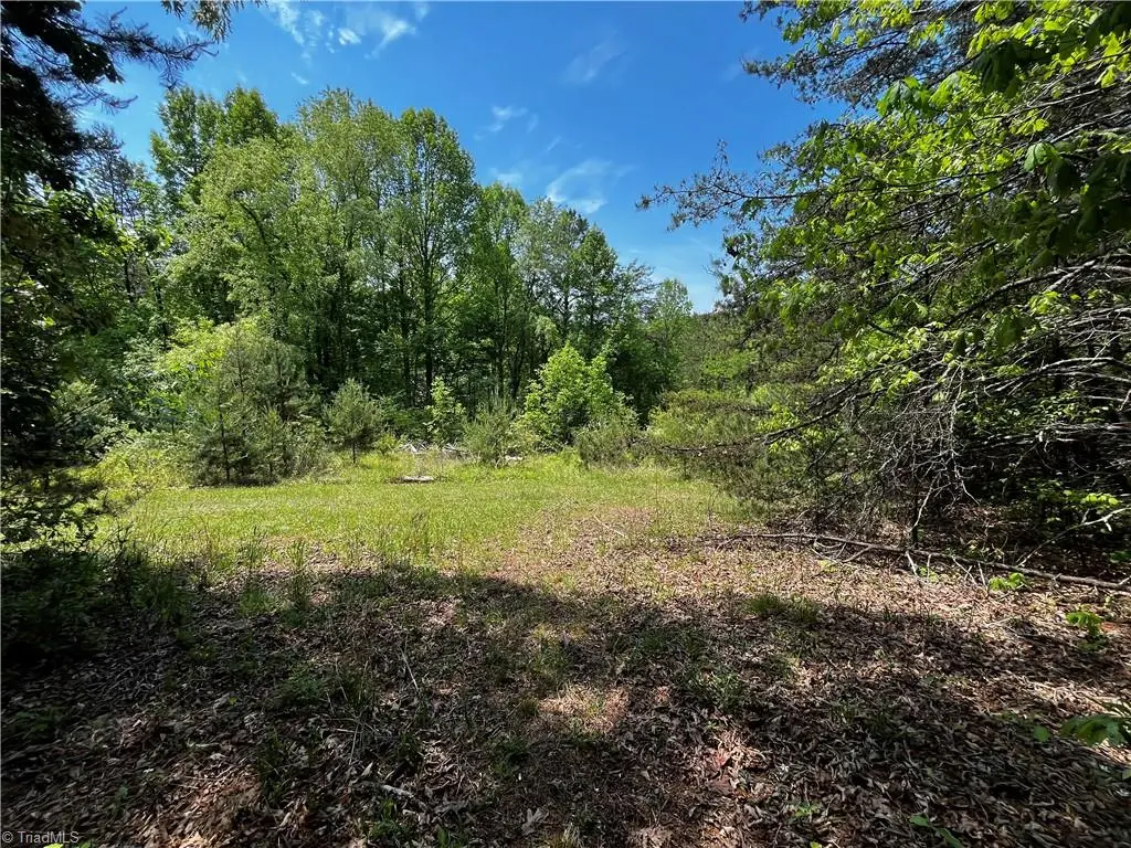 0000 Virgilina Circle, Cana, VA 24317 - Image #1