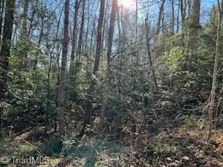 Lot 17 Stevens Drive, Jonesville, NC 28642 - Image #1