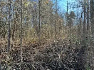 1024 Woodruff Woods Drive, Jonesville, NC 28642 - Image #3