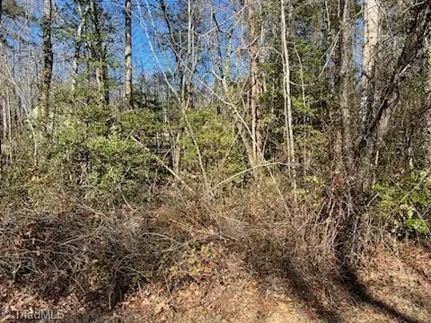 Lot 22 Woodruff Road, Jonesville, NC 28642 - Image #2