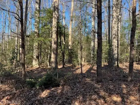 Lot 23 Woodruff Road, Jonesville, NC 28642