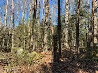 Lot 23 Woodruff Road, Jonesville, NC 28642 - Image #3