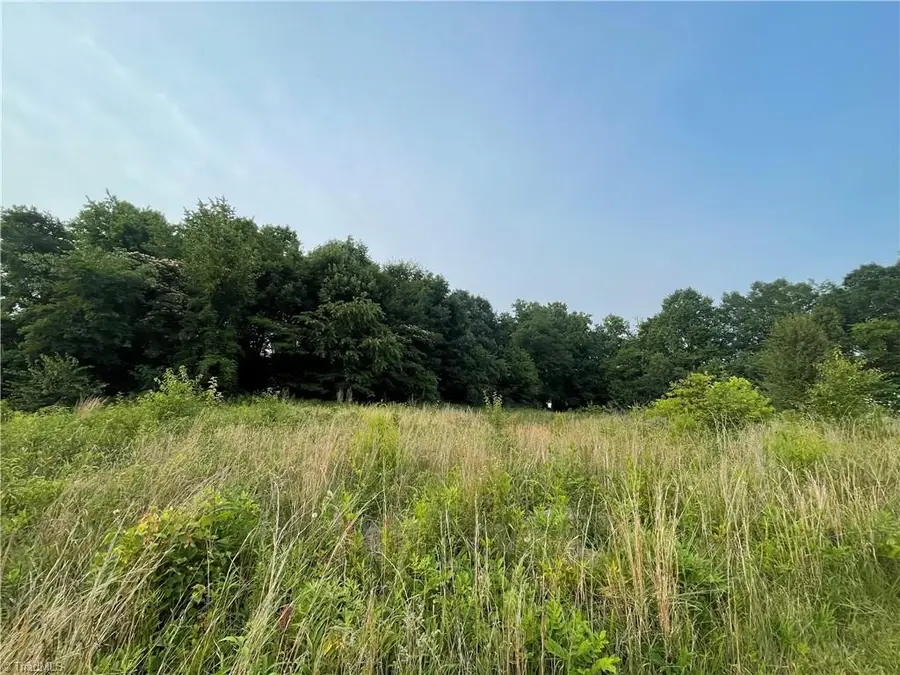 135 Deerfield Drive, Pinnacle, NC 27043 - Image #2