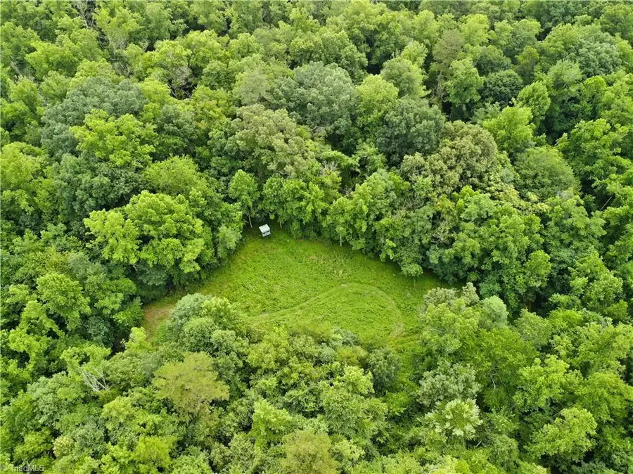 550 Deliverance Baptist Church Road, Ronda, NC 28670 - Image #3